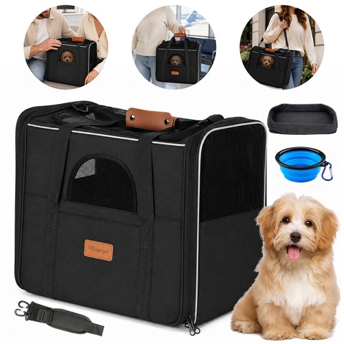 Pet dog cat - pet,