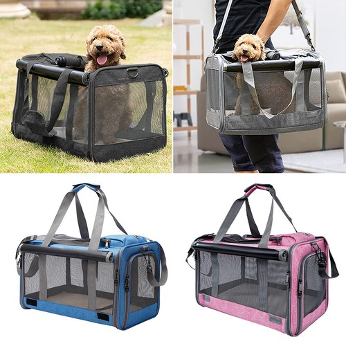 Pet dog cat puppy - cat, portable