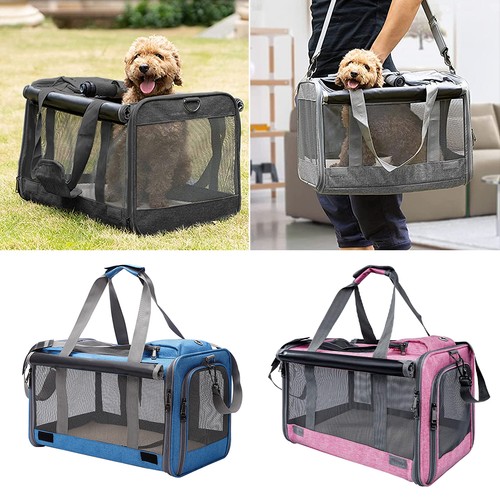 Large cat travel - large, cage