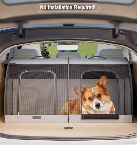 For polo taigo car dog - dog, cat
